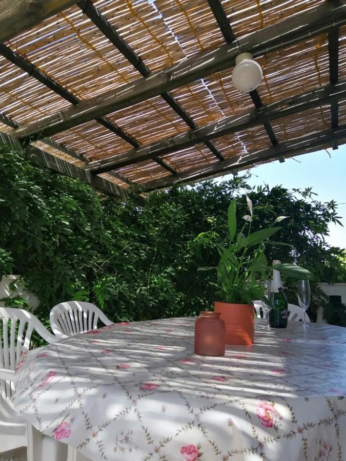 Apartmani Zmiric Primošten Esterno foto