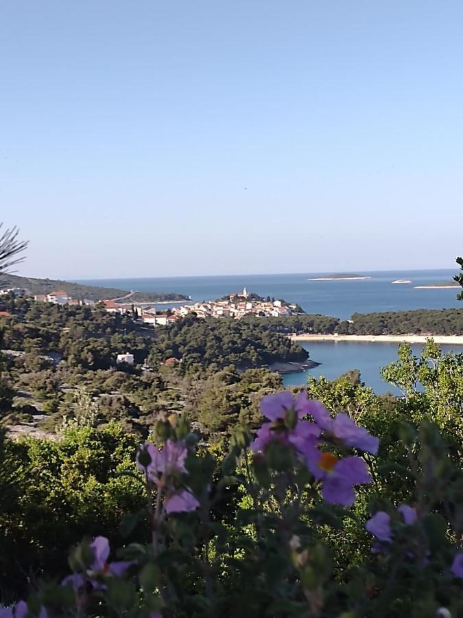 Apartmani Zmiric Primošten Esterno foto