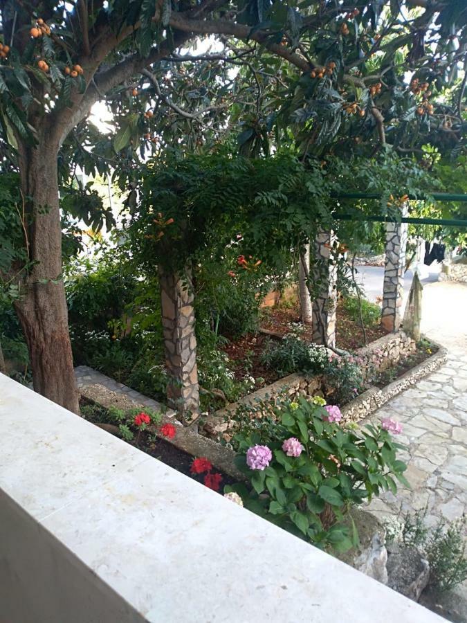 Apartmani Zmiric Primošten Esterno foto